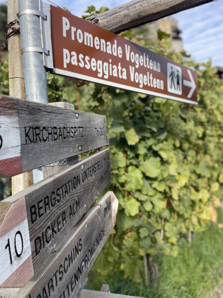 Nordic Walking Tour 1: "Vogeltenn"