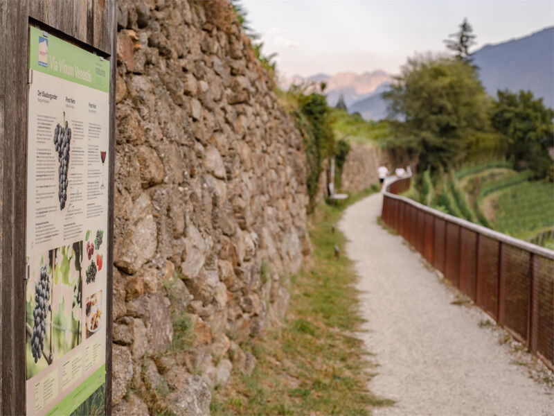 Nordic Walking Tour 1: "Vogeltenn"