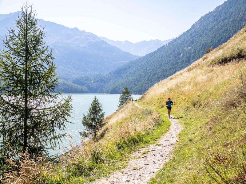 Trailrun: Seeumrundung am Vernagter Stausee