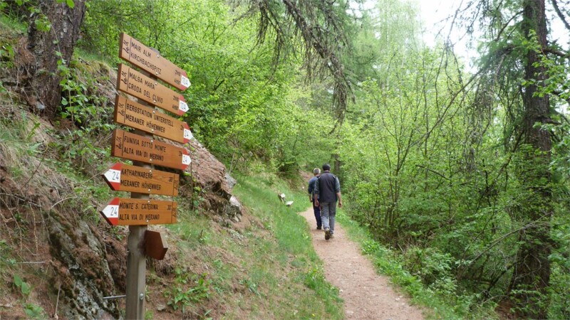 Siedlungsgrenze am Fuchsberg