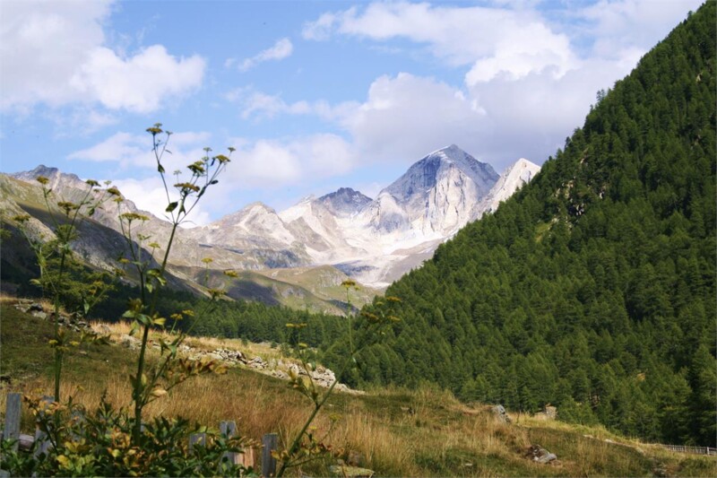 Vorderkas - Stettinerhütte