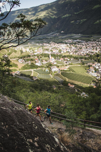 Nordic Walking Tour 2: "Panorama"