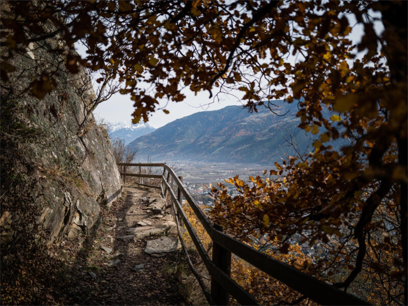 Nordic Walking Tour 3: "Wallburg"