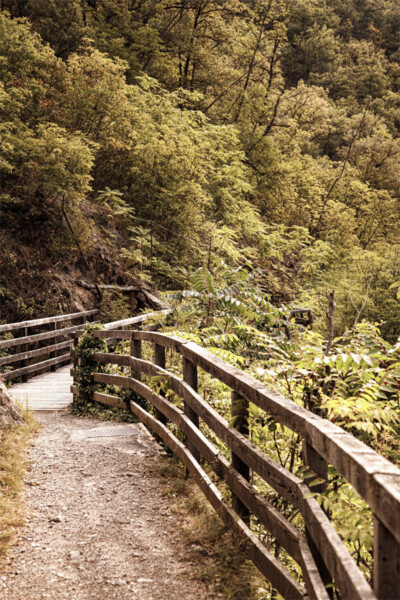 Sonnenberger Panoramaweg 