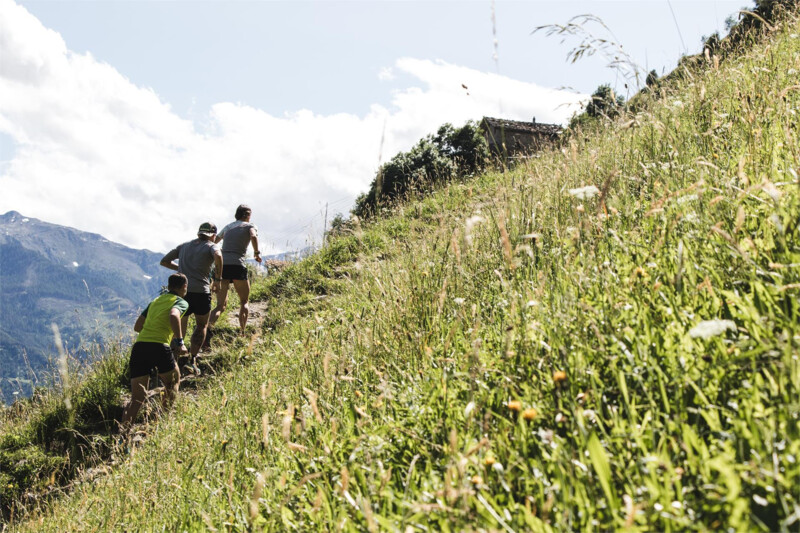 Nordic Walking Tour 8: "Fuchsberg"