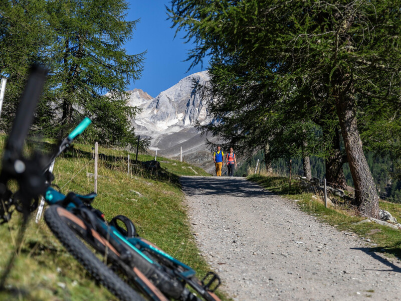 Mountainbiketour Unser Frau - Mastaunalm