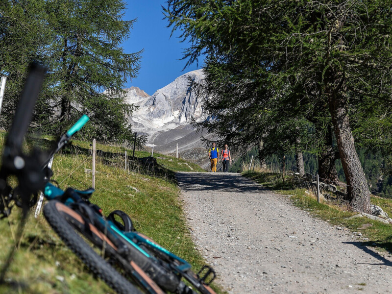 Mountainbiketour Karthaus - Penaudalm