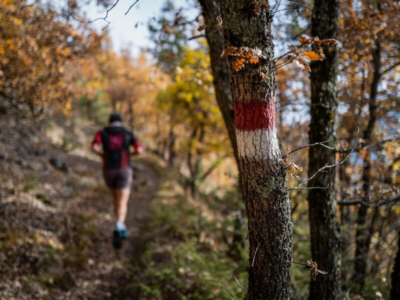Untersteller - Vertical Naturns