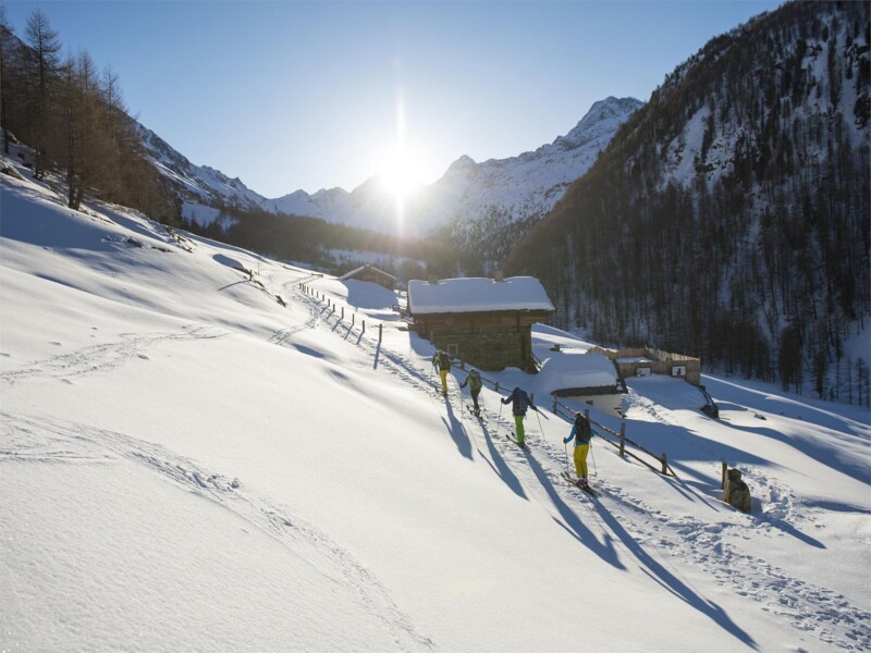 Skitour zur Texelspitze