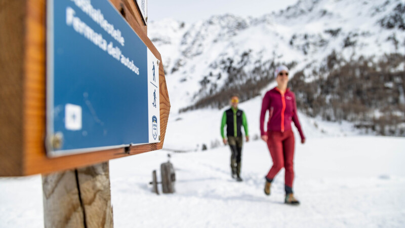 Winterwanderweg Gerstgras