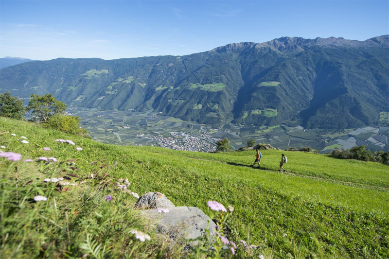 Höfewanderung am Fuchsberg