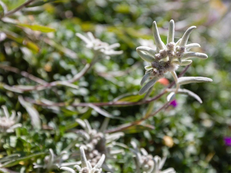 Große Rundwanderung Katharinaberg