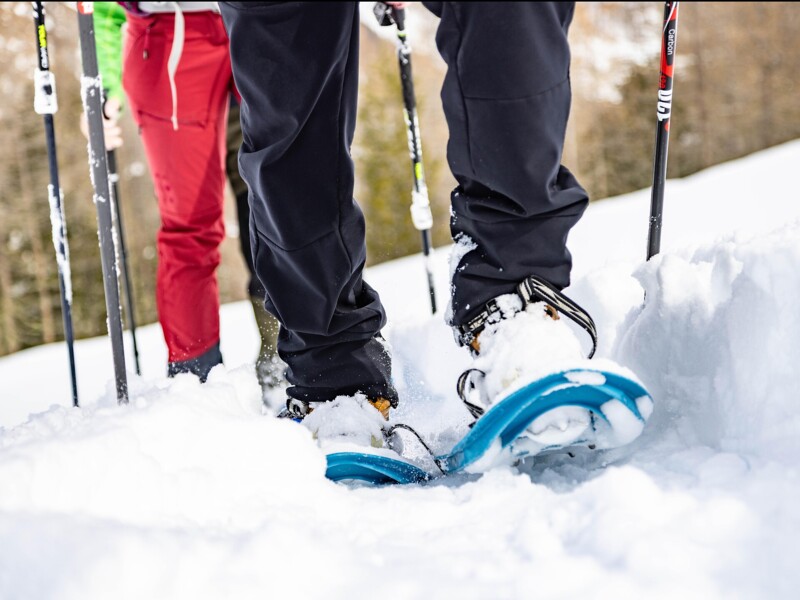 Schneeschuhwanderung Klosteralm 