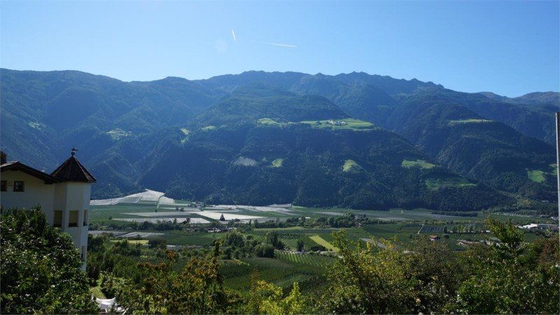 Restaurant Weinberghof