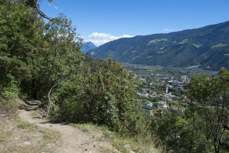 Jausenstation Schwalbennest