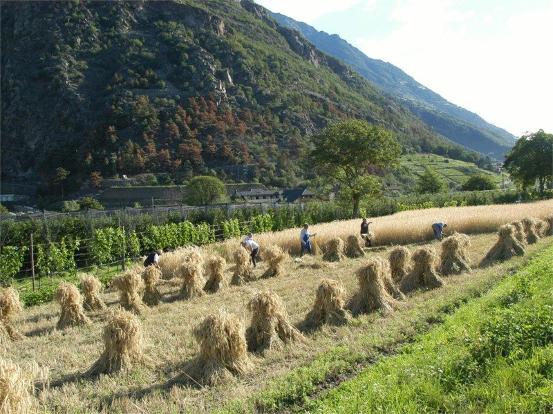 Ruinen St. Laurentius Naturns