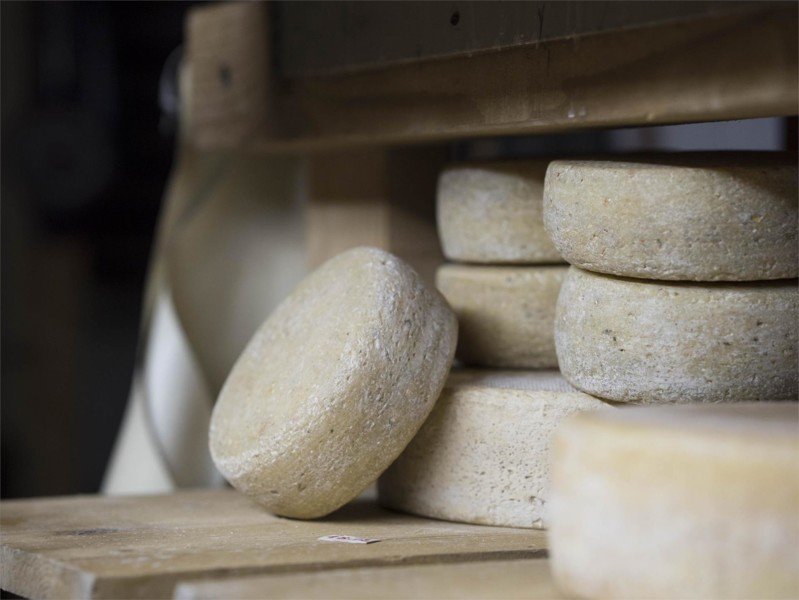 Arche- und Biobauernhof Oberniederhof