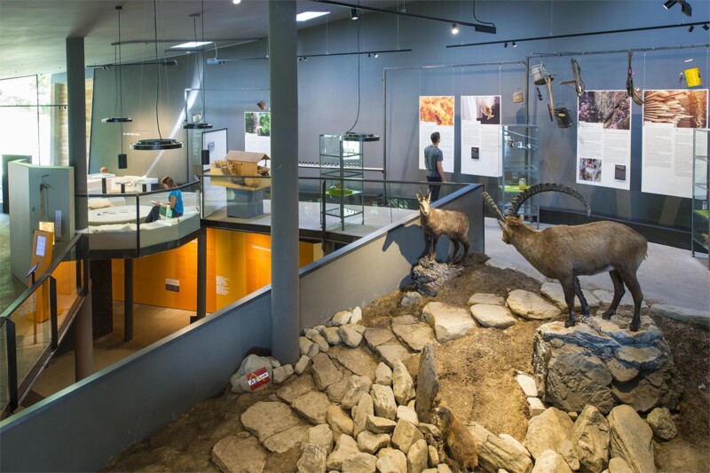 archeoParc Schnalstal