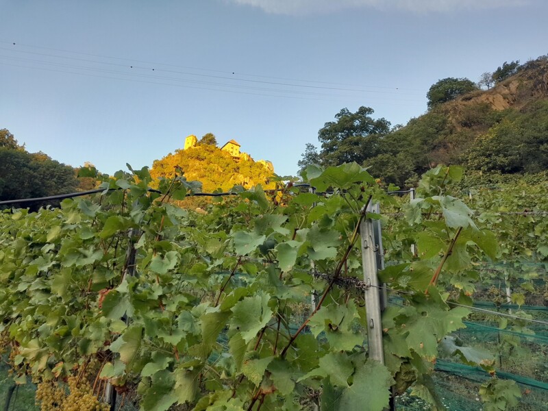 Weingut Castel Juval Unterortl