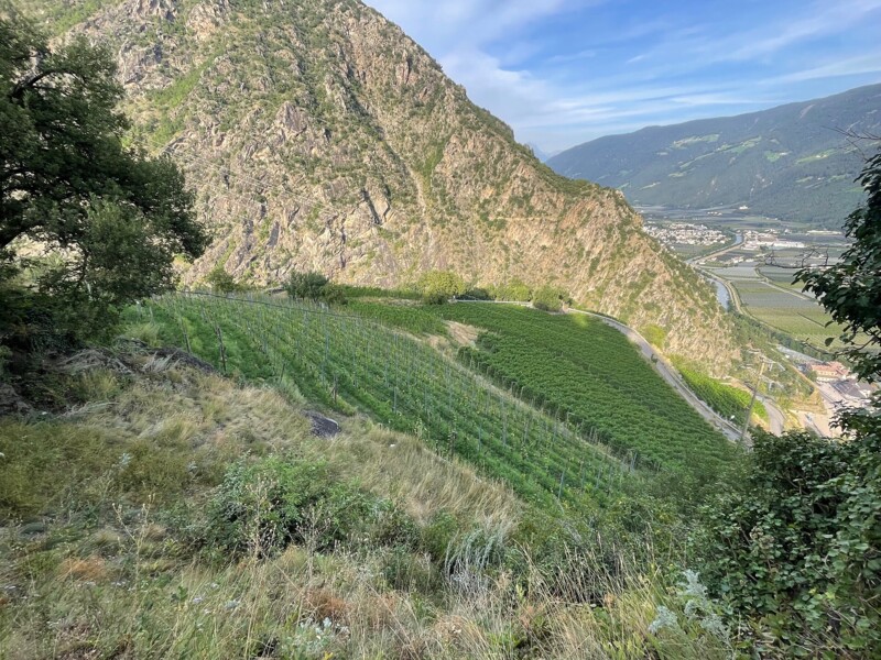 Weingut Castel Juval Unterortl