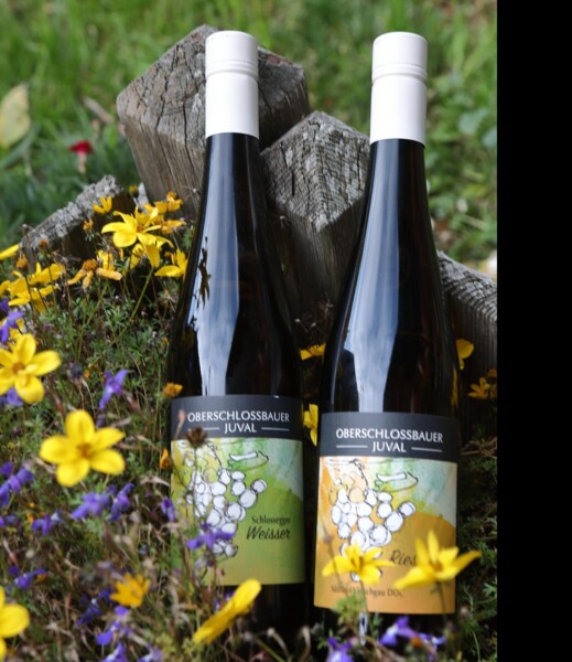Weingut Oberschlossbauer Juval