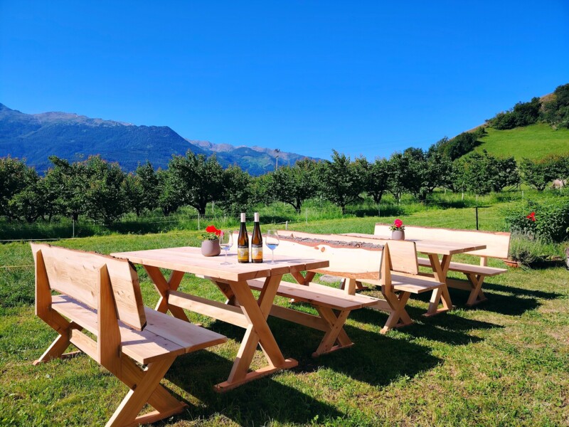 Weingut Oberschlossbauer Juval