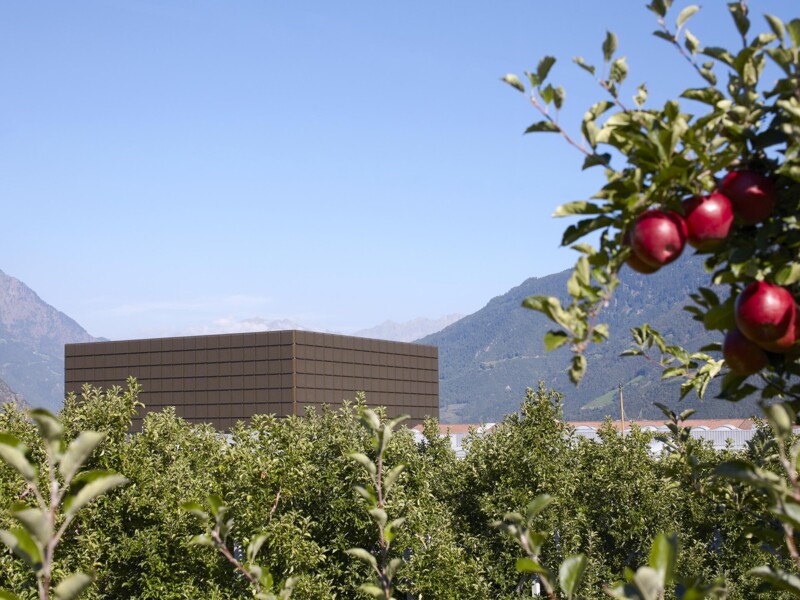Detailgeschäft in der Obstgenossenschaft TEXEL