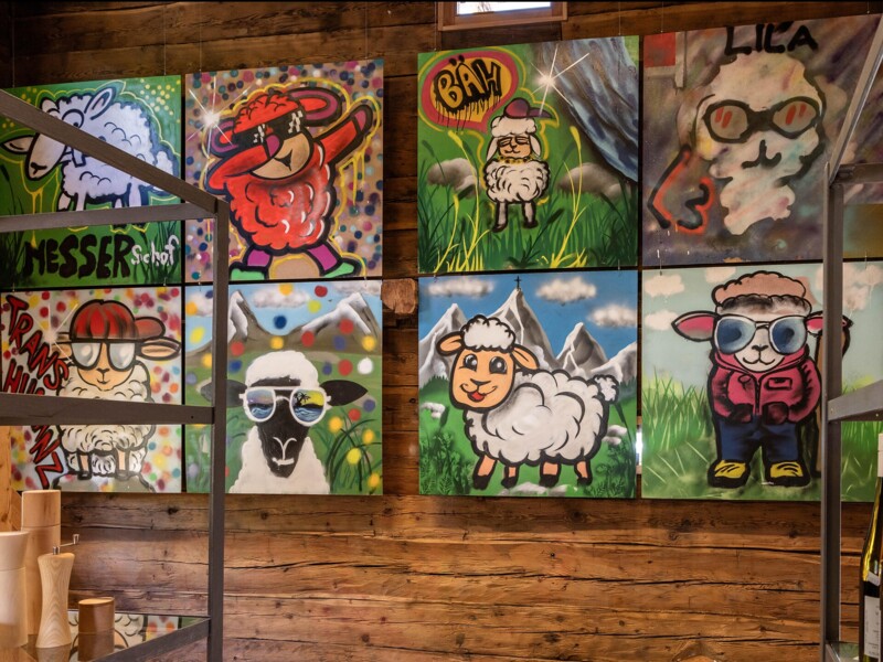 Campus Transhumanza Schnalstal